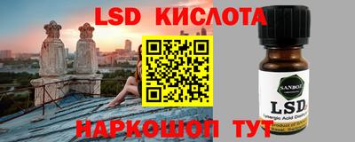 ECSTASY Камышлов