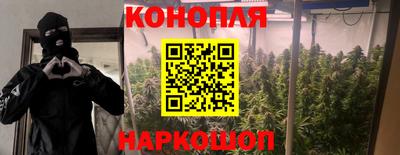 ECSTASY Камышлов