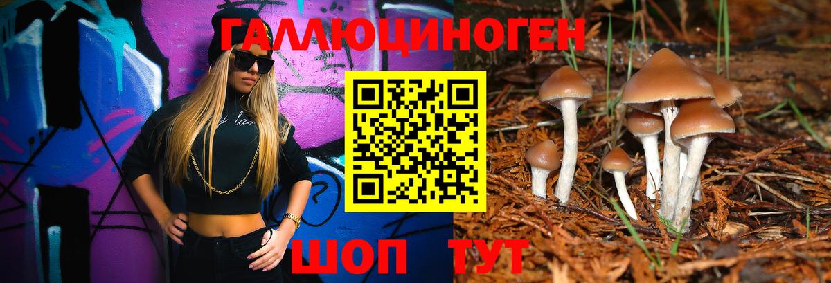 Псилоцибиновые грибы GOLDEN TEACHER  Вход с VPN  Воскресенск 
