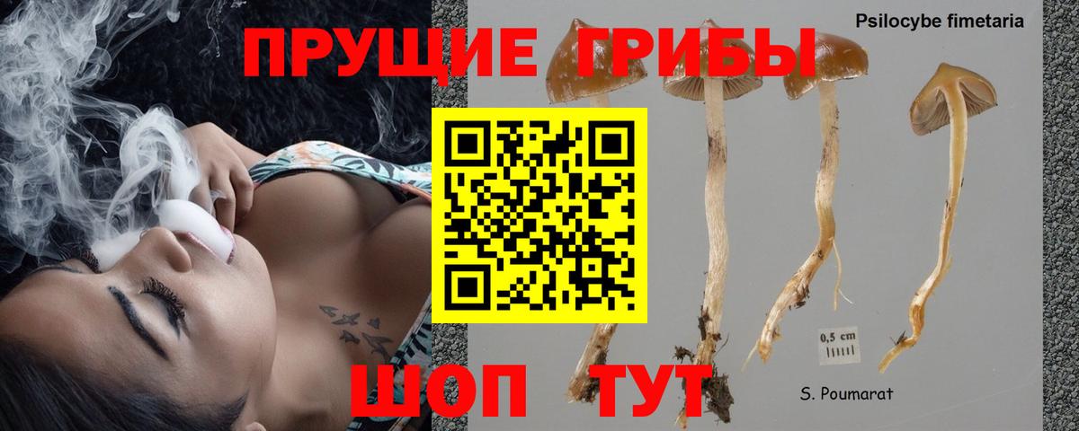 Галлюциногенные грибы ЛСД Воскресенск